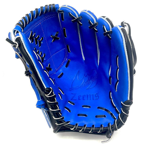 ZEEMS zeems ジームス 野球 硬式 グローブ オーダーグラブ カスタムグローブ 投手 ピッチャー