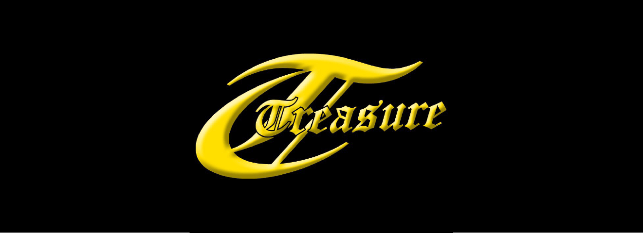 トレジャー Treasure 野球 グローブ オーダーグラブ カスタムグラブ