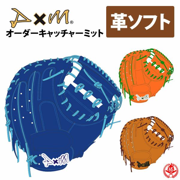 と*も様 ディーバイエム　硬式グローブ　 キャッチャーミット ディーバイエム | グローブ オーダー | 野球グローブ専門店ムサシ